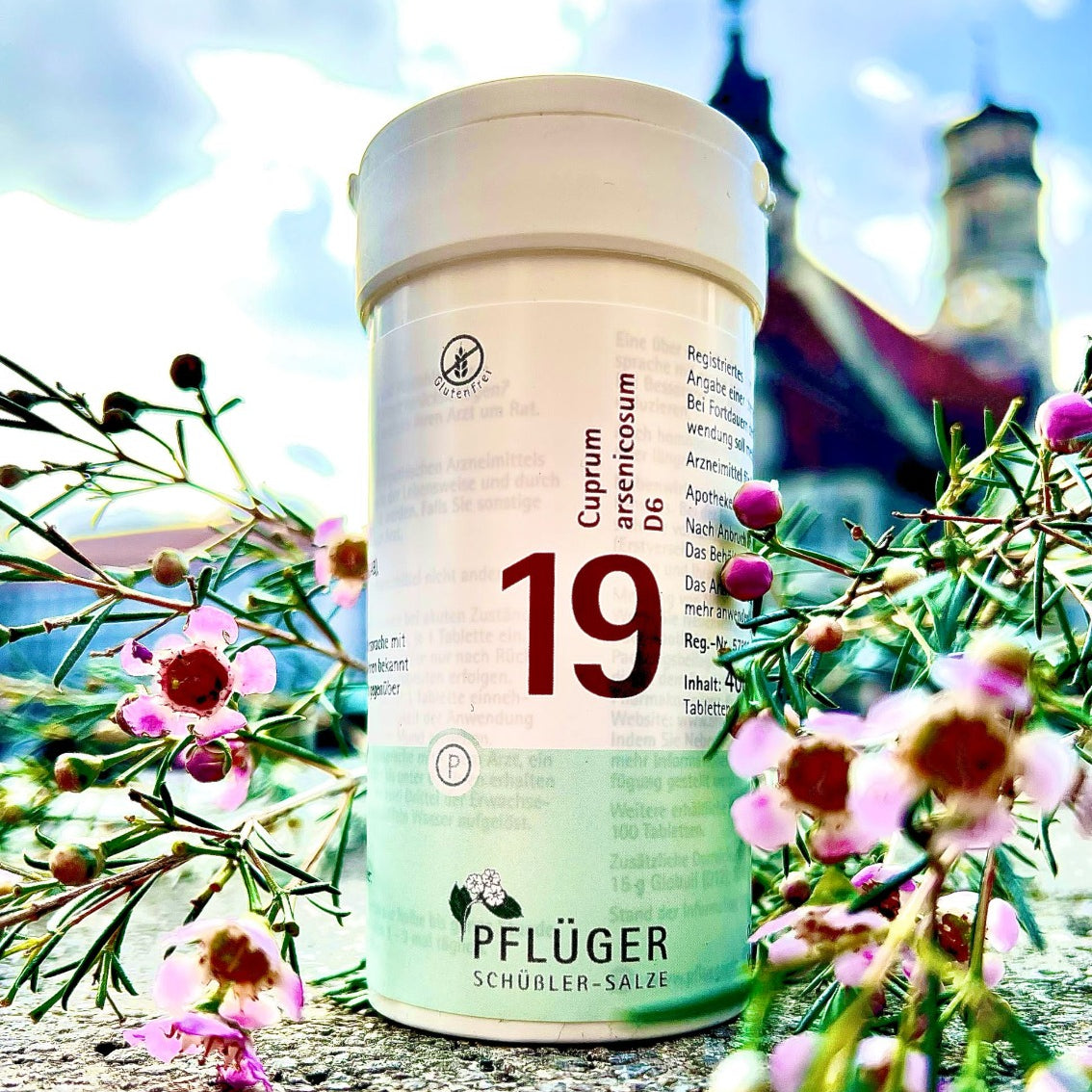 Schüsslerovy soli Č. 19