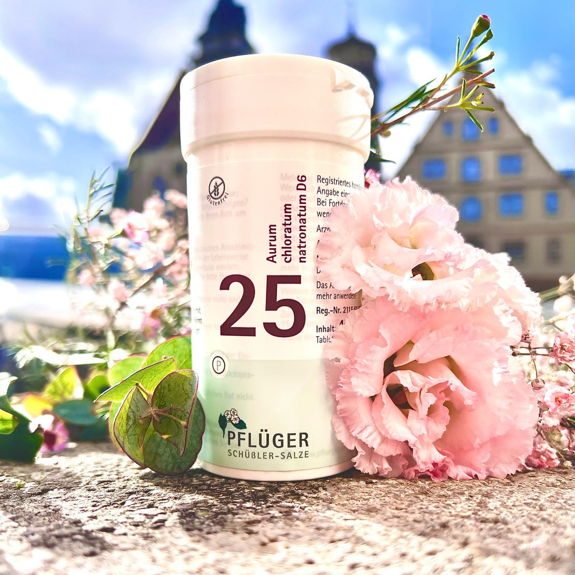Schüsslerovy soli č. 25  400 tbl