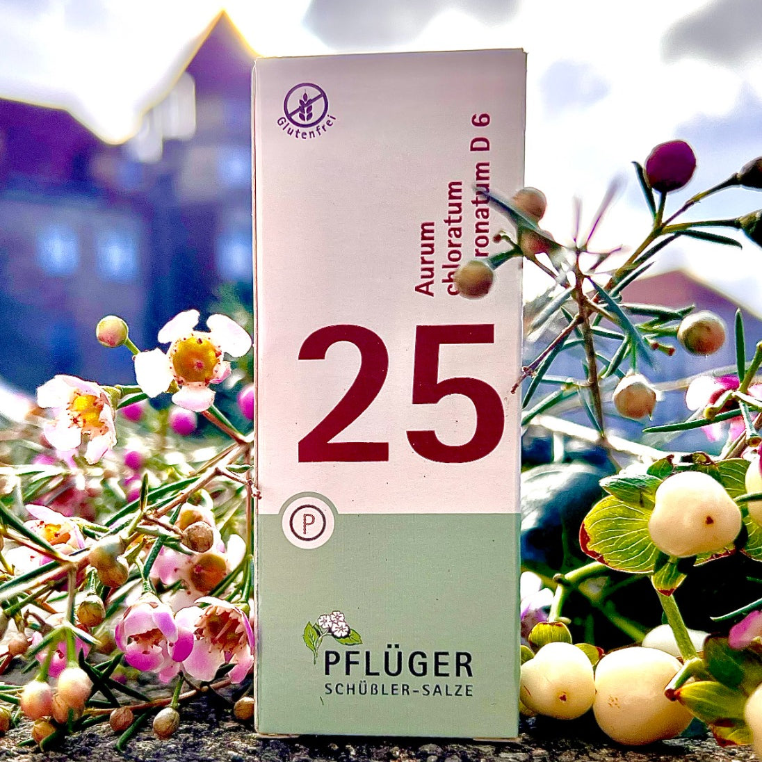 Schüsslerovy soli Č. 25