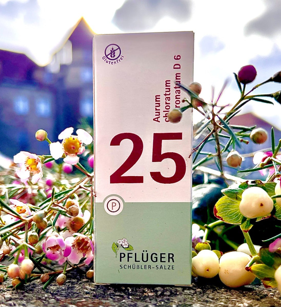 Pflüger Schüsslerova sůl č. 25 Aurum chloratum natronatum D6