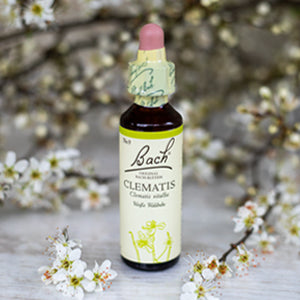 Clematis,  Bachovy květové esence