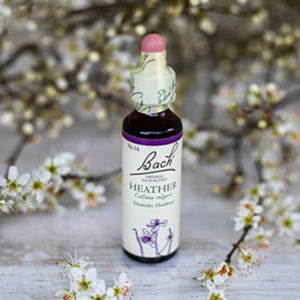Heather,   Bachovy květové esence