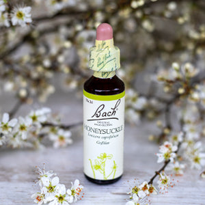 Honeysuckle,  Bachovy květové esence