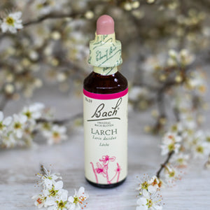 Larch,   Bachovy květové esence