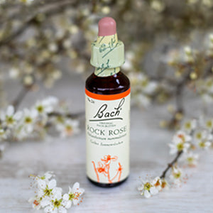 Rock Rose,  Bachovy květové esence
