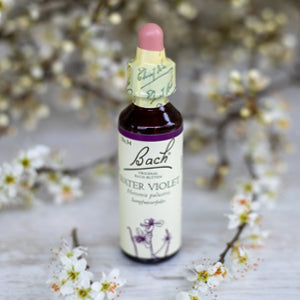 Water Violet,  Bachovy květové esence