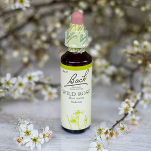 Wild Rose,  Bachovy květové esence
