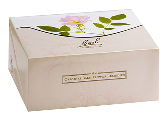 Bachovy květové esence kompletní set 10 ml