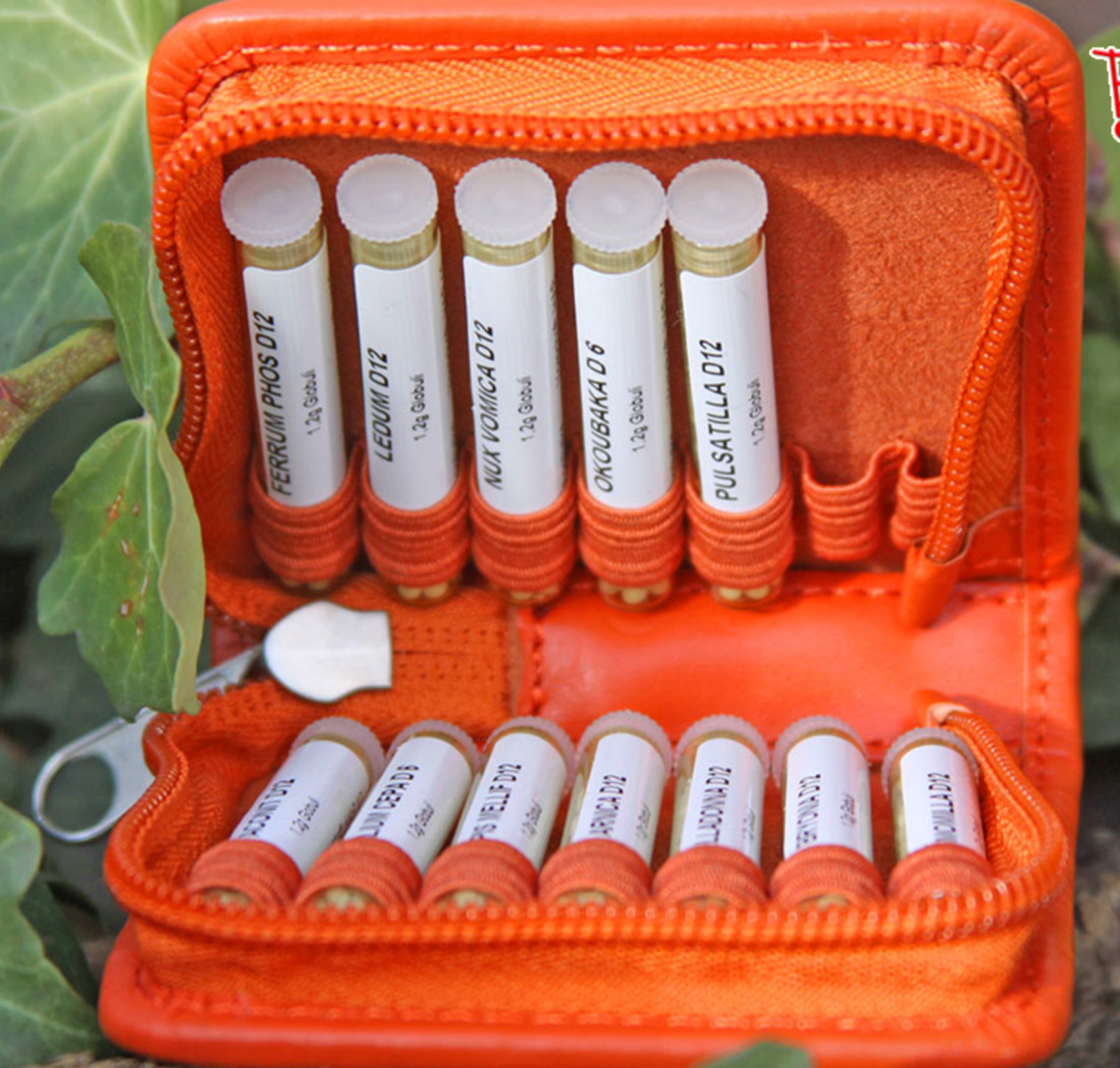 Taschenapotheke