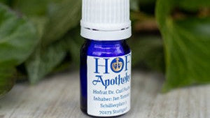 SCHÜSSLEROVY SOLI Č. 6 KALIUM SULFURICUM D6 10g GLOBULE